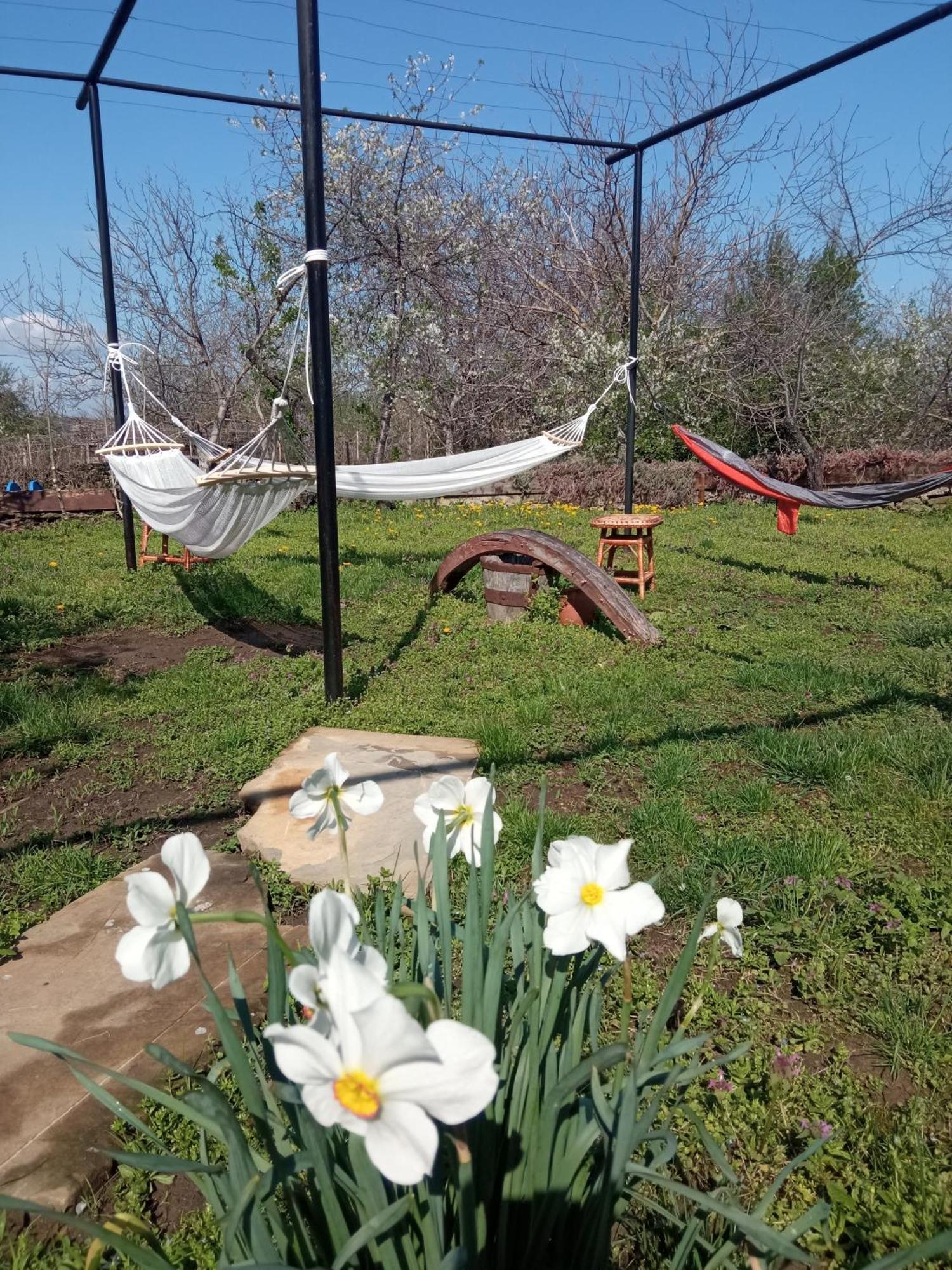 Guest House Art Eco Land Ganchovets Exterior foto